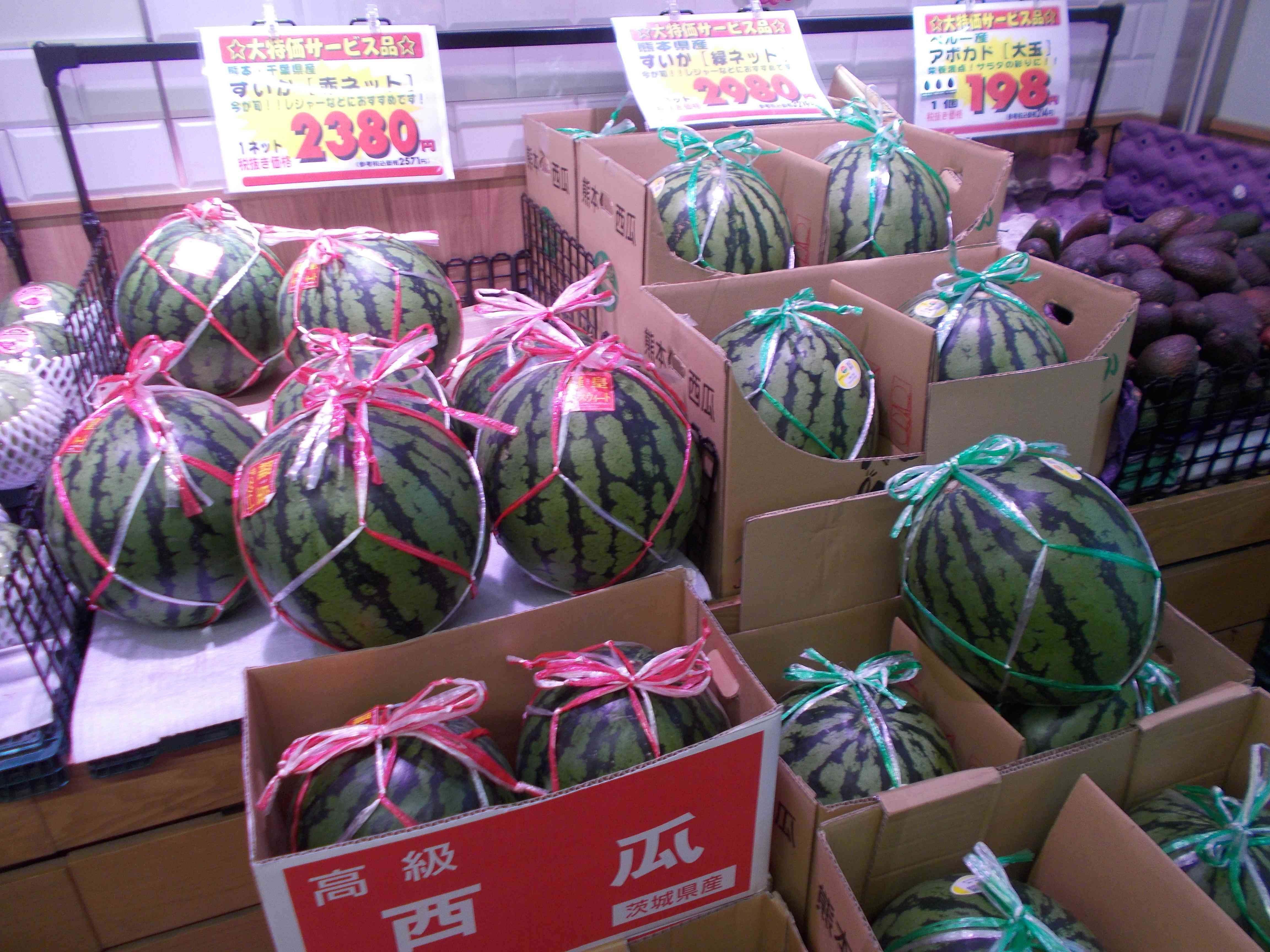DSCN0905