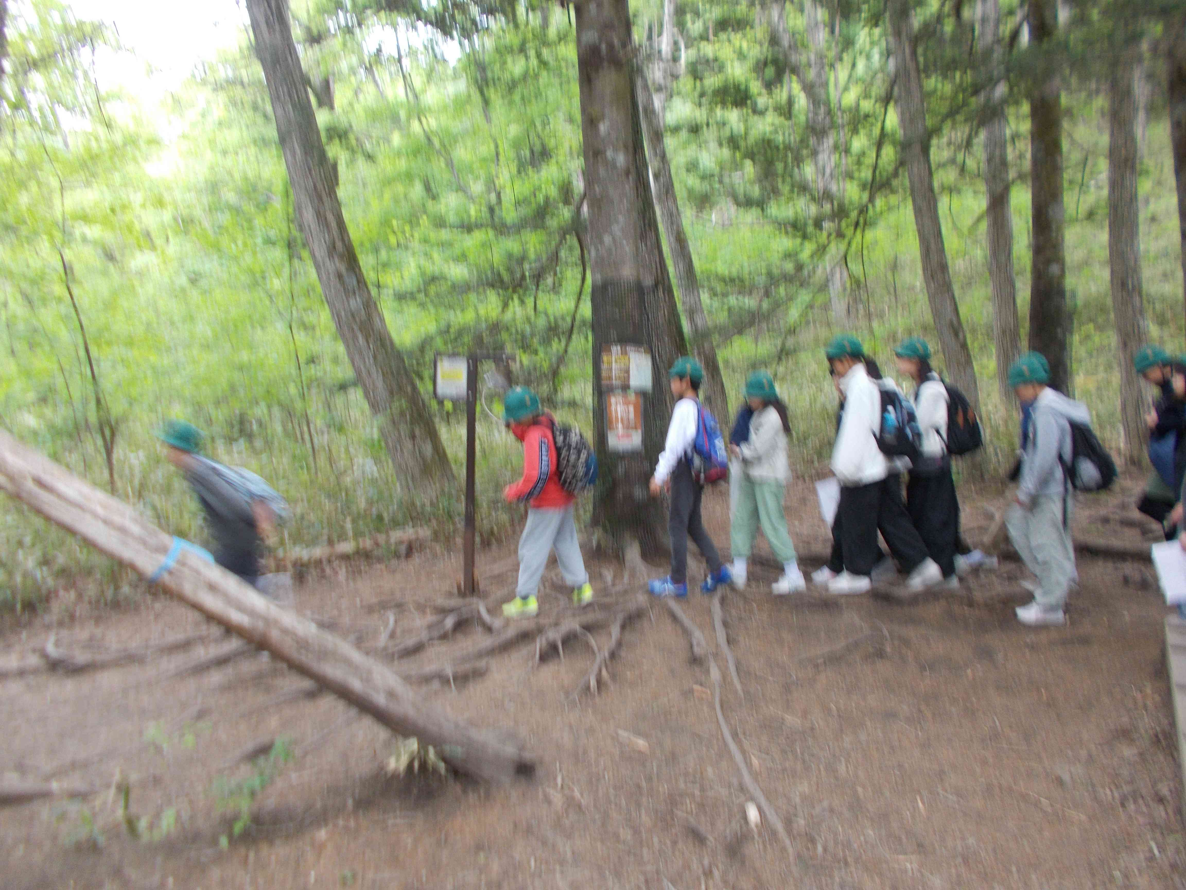 DSCN0165