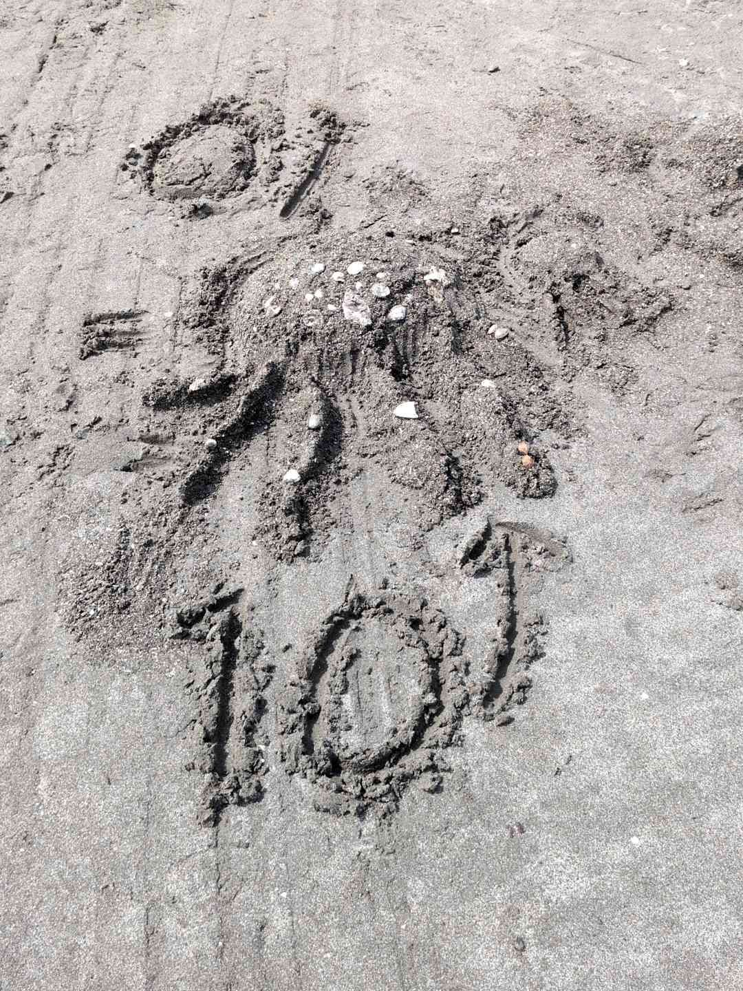 20260723_095011557